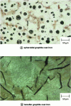 Figure 11 - Graphite cast irons (optical microscopy)