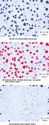 Figure 30 - Unattacked FGS (light microscopy)