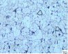 Figure 51 - Example of grain surfaces measured on a micrograph