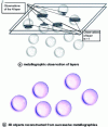 Figure 60 - Principle of mechanical tomography