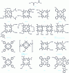 Figure 4 - Structure of the main porphyrins used in SDT