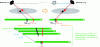 Figure 18 - By taking P shots between t1 and t2, while the source is moving, and superimposing these shots with an offset δ chosen so that the projections of point A (red arrows) overlap in the final image, we make a cut in the plane containing A. This principle is also known as "step & shoot".