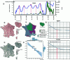 Figure 30 - a) joint representation of the number N(t) on day t of Covid-19 cases in Japan and its dispersion index. b) map of new daily cases of the Covid-19 pandemic in France. c) climate map. d) autocorrelation curve of N(t). e) map of Covid-19 deaths. f) initial slope of the correlation curve regressed on the mean temperature of 6 countries, France, Italy, Spain, United Kingdom, China and Chile.