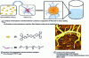 Figure 6 - General strategy used for the formation of two-photon fluorescent micellar assemblies, developed in collaboration with the teams of Professors Marder and Stephan (Photo by the authors).