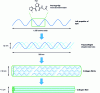 Figure 1 - Multiscale collagen structure