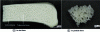 Figure 3 - Macroscopic images of bone allografts