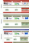 Figure 5 - Structuring dental CAD/CAM (Crédit Tapie, et al. [8])