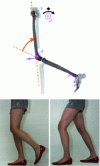 Figure 3 - Representation and illustration of knee flexion