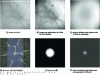 Figure 5 - Highlighting spectra corresponding to honeycomb and vignetting effects