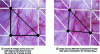 Figure 9 - Illustration of the grid of points used to construct energies