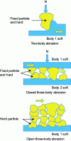 Figure 18 - Two-body and three-body abrasion