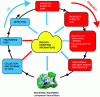 Figure 2 - Diagnostic and prognostic steps for CBM/PHM