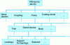 Figure 6 - Example of material decomposition