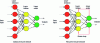 Figure 22 - Examples of neural networks