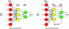 Figure 22 - Examples of neural networks