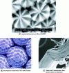 Figure 32 - Bicomponent fibers (Image: Hills)