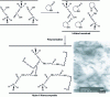 Figure 2 - Schematic diagram of caprolactam polymerization in the presence of organically modified lamellar nanofillers