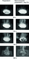 Figure 18 - Series of digitized images illustrating the pyrolysis process in the fire resistance experiment