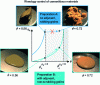 Figure 13 - Calcium carbonate suspensions prepared with or without adjuvant – Qualitative comparison with frictional transition scenario