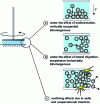 Figure 4 - Apparent rheo-thickening due to measurement artifacts