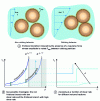 Figure 6 - Frictional transition model