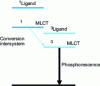 Figure 24 - Optimum energy diagram for a phosphorescent organometallic complex