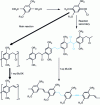 Figure 19 - Secondary reactions associated with the Gilch reaction