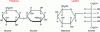 Figure 15 - Trehalose and lactitol molecules (© http://www.nutrientsreview.com/carbs/disaccharides-trehalose.html)