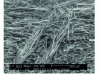 Figure 17 - Cross-section of a needlepunched nonwoven (Image: J. Payen)