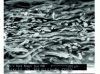 Figure 21 - Cross-section of a bonded nonwoven (Image: J. Payen)