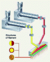 Figure 11 - Schematic representation of a two-component melt-spinning process [4].