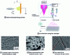 Figure 14 - Development of bicomponent fibers by solvent spinning, in this case electrospinning [7].