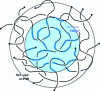 Figure 11 - Organization of PEDOT:PSS particles in aqueous solution