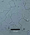 Figure 22 - Revealing the grain boundaries of a titanium carbide (TiC0.60) after 5 minutes etching with aqua regia [15].