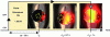 Figure 12 - Successive photographs of a microwave-heated 2 Mg+Si disk