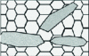 Figure 9 - Schematic microstructure of an anatase film on an alumina support