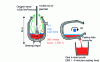 Figure 5 - Oxygen converter and steel ladle casting