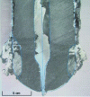 Figure 16 - Internal magnesia-carbon reduction of a stopper nose in contact with aluminum-killed steel flux in continuous casting