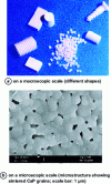 Figure 7 - Examples of bioceramics based on sintered calcium phosphates