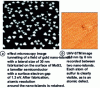 Figure 14 - Two images (scanning tunneling microscope and UHV-STM) showing nano-deposits (from 59)