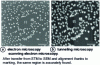 Figure 16 - After suitable surface marking comparison of the same region of the MoS2 surface using two microscopy techniques (from 59) 