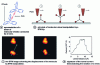 Figure 5 - Demonstration of the rotational movements of a molecular wheel using an STM tip (from 33)