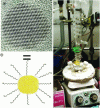 Figure 1 - a) Transmission electron microscopy image
of a nanocrystal; b) diagram of the same nanocrystal, showing the
presence of ligands on the surface; c) photograph of a nanocrystal
synthesis line.