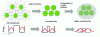 Figure 8 - Schematic diagram of the strategy for
increasing inter-nanocrystal coupling. The starting situation corresponds
to nanoparticles coated with long organic ligands, which can be modeled
as two quantum wells separated by a long, high tunnel barrier. If
these long ligands are replaced by shorter organic ligands, the tunnel
barrier is shortened without affecting its height. The ultimate goal
is to be able to encapsulate nanocrystals in an inorganic matrix without
any organic ligand residue to reduce the barrier height as well.