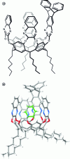 Figure 21 - Structure of the benzene@cavitand complex. a) Representation of the receptor; b) structure of the complex obtained by X-ray diffraction (in green the encapsulated benzene molecule).