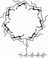 Figure 28 - Example of a chiral stationary phase: Chirasil-β-Dex-C11