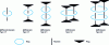 Figure 15 - Schematic representation and nomenclature of rotaxanes [36].