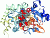 Figure 6 - Crystal structure of the supramolecular erythromycin-CYP3A4 assembly [14]