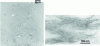 Figure 8 - Transmission electron microscopy images of nanocomposites obtained by dispersing 5% organophilic montmorillonite in a glassy thermoset matrix, from 