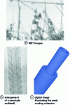 Figure 2 - Multiwall nanotubes and graphitic nanoparticles produced by the electric arc method